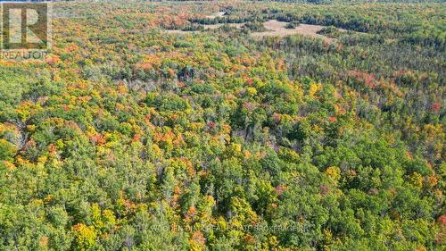 0East2 Road Allowance Road, Havelock-Belmont-Methuen (Belmont-Methuen), ON 