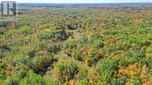 0East2 Road Allowance Road, Havelock-Belmont-Methuen (Belmont-Methuen), ON 