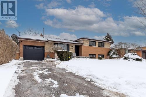 294 Wedgewood Drive, London, ON - Outdoor