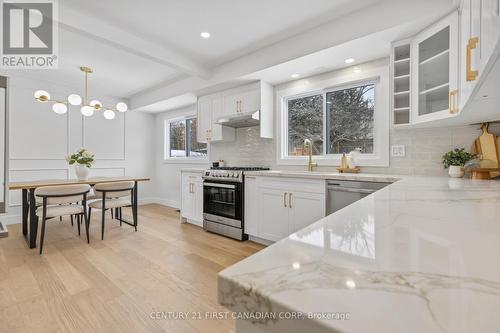 294 Wedgewood Drive, London, ON - Indoor Photo Showing Kitchen With Upgraded Kitchen