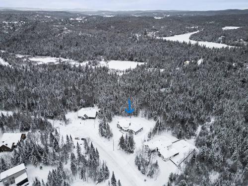 Aerial photo - 111 Rue Du Joli-Bois, Sainte-Marguerite-Du-Lac-Masson, QC - Outdoor With View