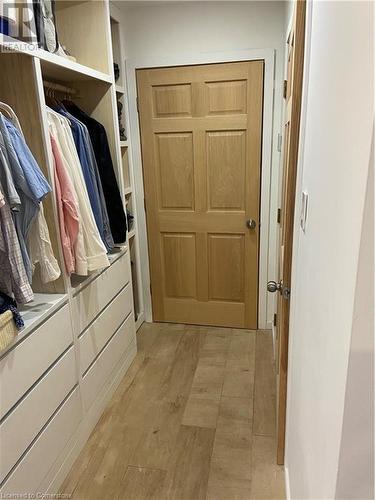 Walk in closet with light wood-type flooring - 67 Louisa Street, Kitchener, ON - Indoor With Storage