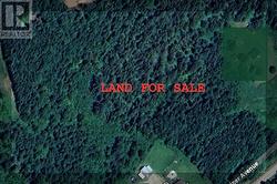 50 a Juniper Avenue Cormack, NL A8A 2M7