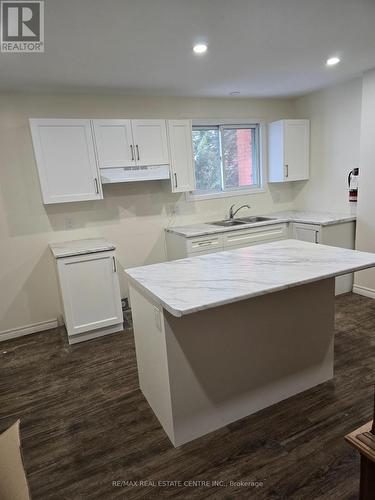 19 Bricker Avenue, Waterloo, ON - Indoor Photo Showing Kitchen With Double Sink