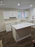 19 Bricker Avenue, Waterloo, ON  - Indoor Photo Showing Kitchen With Double Sink 