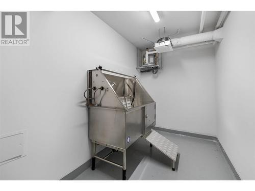 Dog wash - 1471 St Paul Street Unit# 1103, Kelowna, BC - Indoor