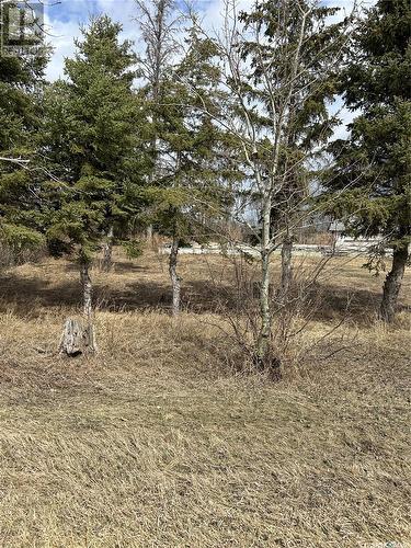 Mcgregor Acreage, Star City, SK 