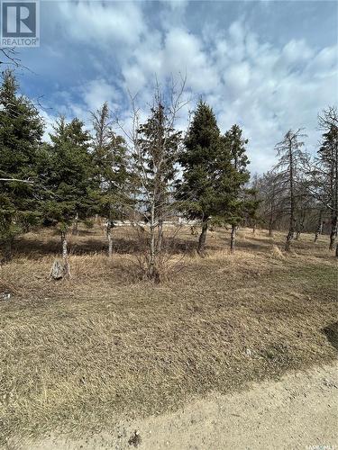 Mcgregor Acreage, Star City, SK 