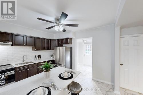 25 Lincoln Street, Hamilton, ON - Indoor Photo Showing Kitchen With Double Sink