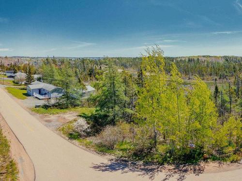 Lot 4 Harbourview Crescent, Louisdale, NS 