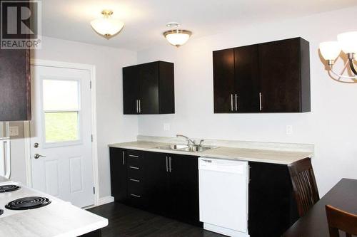 30 Ellen'S Lane Extension, Holyrood, NL - Indoor Photo Showing Kitchen With Double Sink