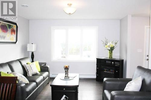 30 Ellen'S Lane Extension, Holyrood, NL - Indoor Photo Showing Living Room