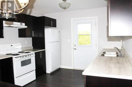 30 Ellen'S Lane Extension, Holyrood, NL - Indoor Photo Showing Kitchen With Double Sink
