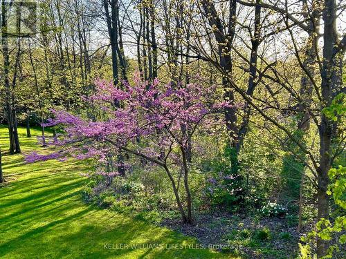 OFF YOUR BACK DECK - 66 Quinella Place, London, ON - Outdoor