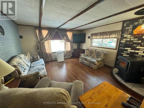 37 Methuen Street, Havelock-Belmont-Methuen (Belmont-Methuen), ON - Indoor Photo Showing Living Room With Fireplace