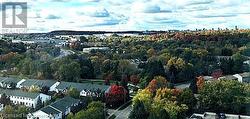 Skyline view in Summer - 