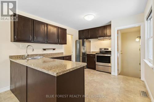 207 Grand Avenue, London, ON - Indoor Photo Showing Kitchen With Double Sink