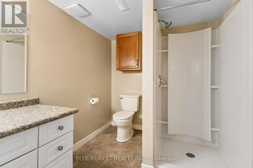 207 Grand Avenue, London, ON - Indoor Photo Showing Bathroom