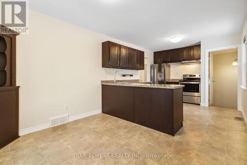 207 Grand Avenue, London, ON - Indoor Photo Showing Kitchen