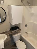 4 piece guest bath - 