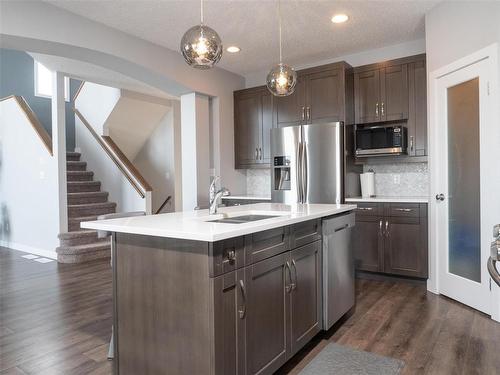 30 Angela Everts Drive, Winnipeg, MB - Indoor Photo Showing Kitchen With Upgraded Kitchen