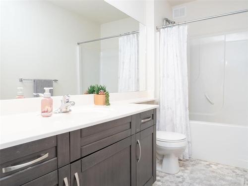 30 Angela Everts Drive, Winnipeg, MB - Indoor Photo Showing Bathroom