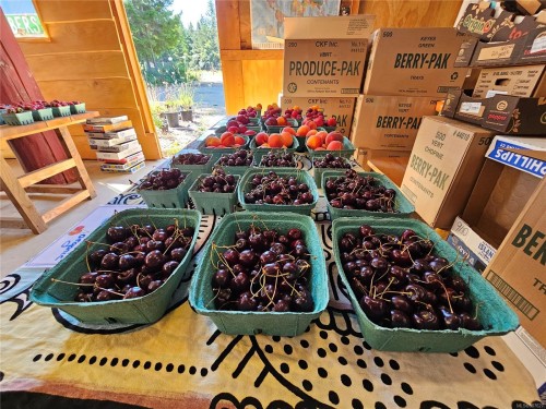 2156 Coleman Rd, Courtenay, BC 