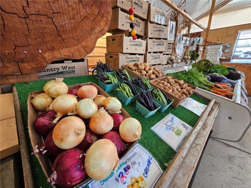 2156 Coleman Rd, Courtenay, BC 