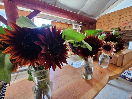 2156 Coleman Rd, Courtenay, BC 