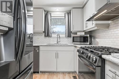 227 Saddy Avenue, London, ON - Indoor Photo Showing Kitchen With Stainless Steel Kitchen With Upgraded Kitchen