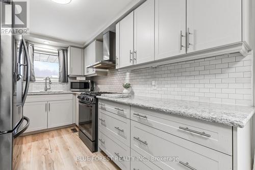 227 Saddy Avenue, London, ON - Indoor Photo Showing Kitchen With Upgraded Kitchen