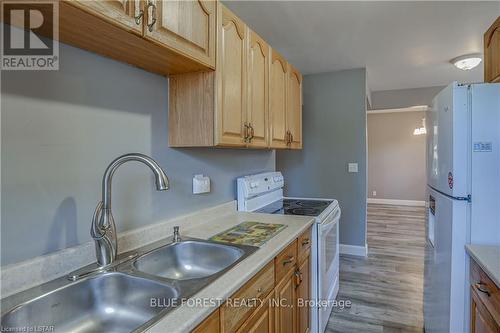 184 Kirkland Crescent, London, ON - Indoor Photo Showing Kitchen With Double Sink