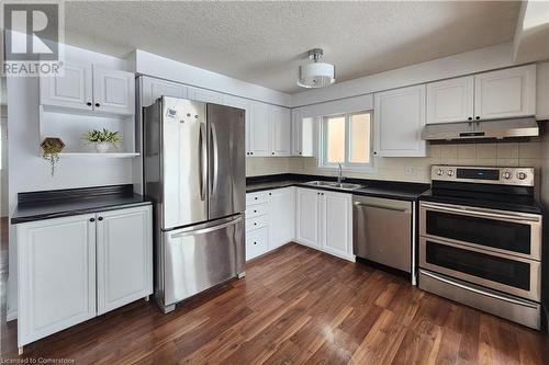 Kitchen with white cabinetry, sink, dark hardwood / wood-style flooring, stainless steel appliances, and a textured ceiling - 39 Bridlewreath Street, Kitchener, ON - Indoor Photo Showing Kitchen With Double Sink