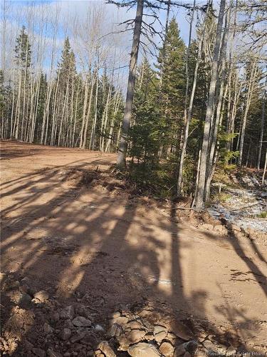 Lot 04-17 Sunset View Lane, Cumberland Bay, NB 