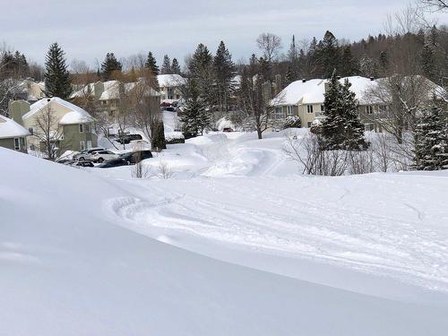 Extérieur - 807 Ch. Des Éperviers, Piedmont, QC - Outdoor