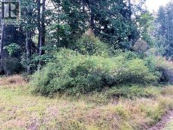 Lot 4 DOGWOOD STREET  Texada Island, BC None