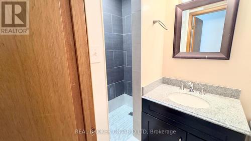 457 Wilkins Street, London, ON - Indoor Photo Showing Bathroom