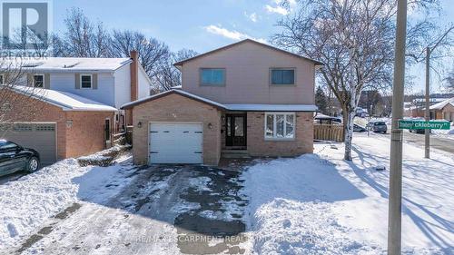 74 Huckleberry Place, Hamilton, ON - Outdoor With Facade