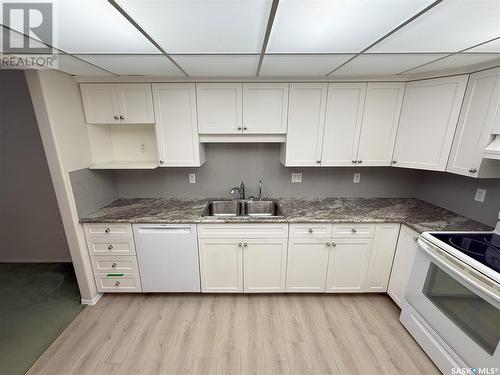 113 2550 25Th Avenue, Regina, SK - Indoor Photo Showing Kitchen With Double Sink