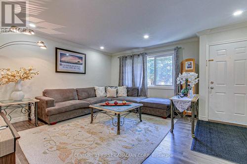 311 Wedgewood Drive, London, ON - Indoor Photo Showing Living Room