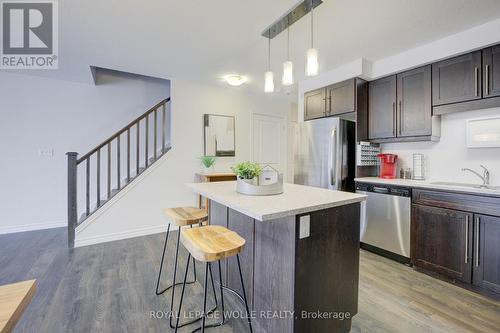 55 Meadowridge Street, Kitchener, ON - Indoor Photo Showing Kitchen