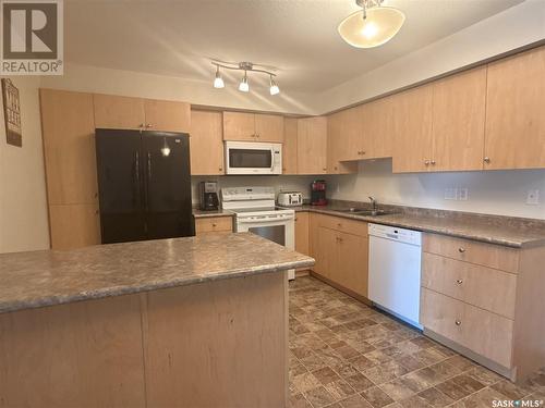 303 2341 Windsor Park Road, Regina, SK - Indoor Photo Showing Kitchen With Double Sink