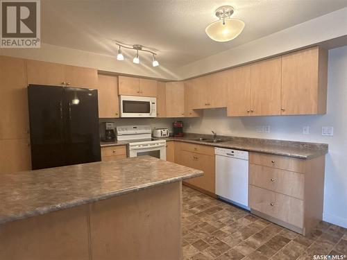 303 2341 Windsor Park Road, Regina, SK - Indoor Photo Showing Kitchen With Double Sink