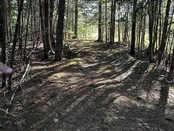 Unit 3 FORSYTHE ROAD SOUTH Road  White Rock, NS B4P 2R2