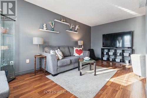 110 Carlyle Drive, London, ON - Indoor Photo Showing Living Room