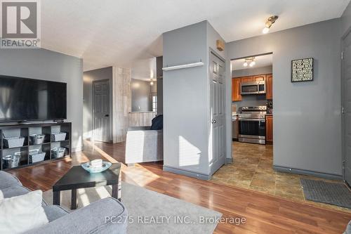 110 Carlyle Drive, London, ON - Indoor Photo Showing Living Room