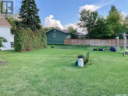 108 Gordon Street, Wolseley, SK - Outdoor With Backyard