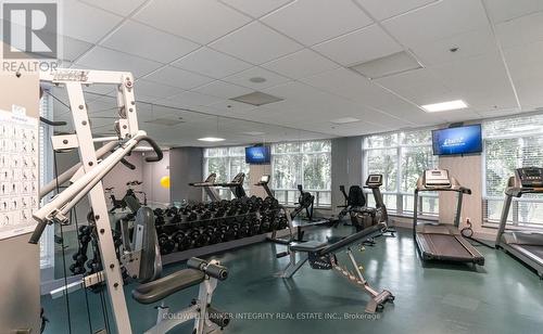 401 - 88 Palace Pier Court, Toronto, ON - Indoor Photo Showing Gym Room