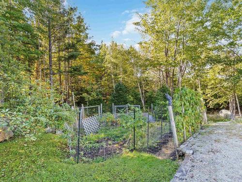 40 Forest Hill Road, Chester Grant, NS 