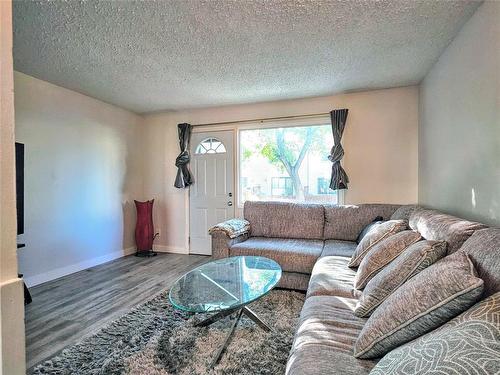 3 98 Stradford Street, Winnipeg, MB - Indoor Photo Showing Living Room